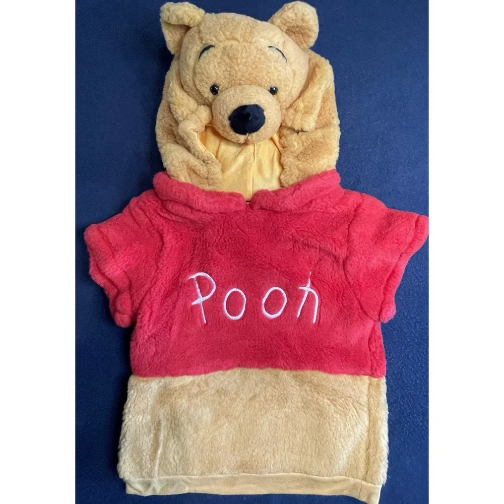 Disguise disney winnie